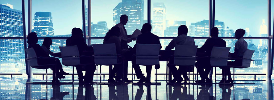 director services